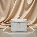 Goyard Chevron Vanity Case — Structured Crossbody